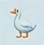 Аватарка Максим Томайлы