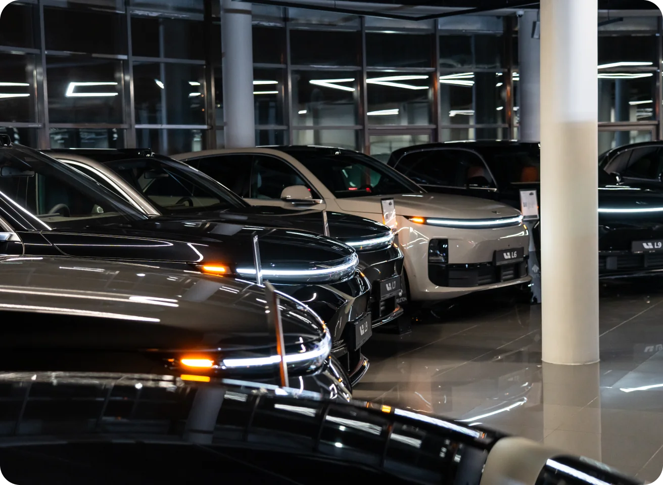 Фото автосалона Peleton 1