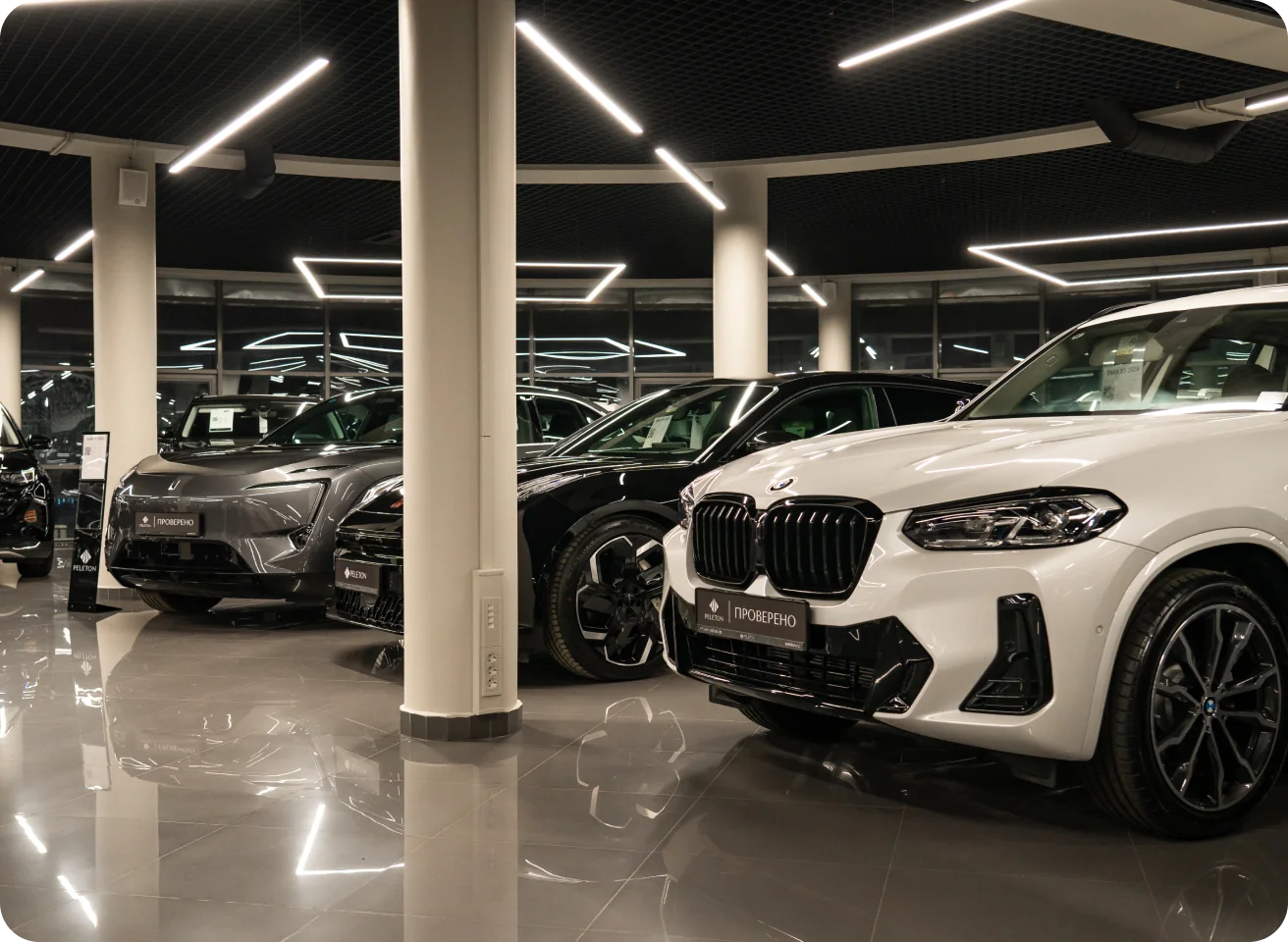 Фото автосалона Peleton 6